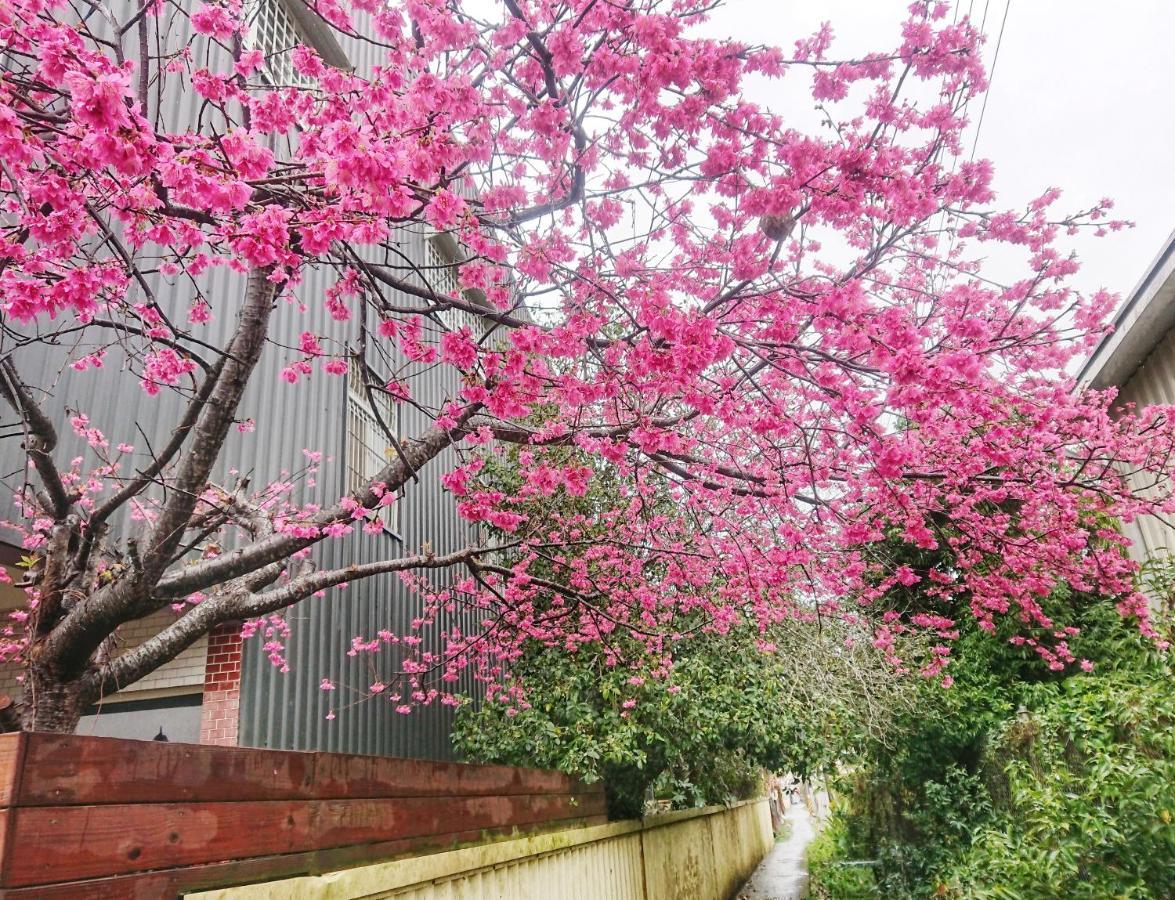 Xinshe Xiao Shu Time Homestay Esterno foto
