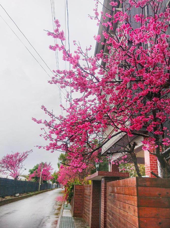 Xinshe Xiao Shu Time Homestay Esterno foto